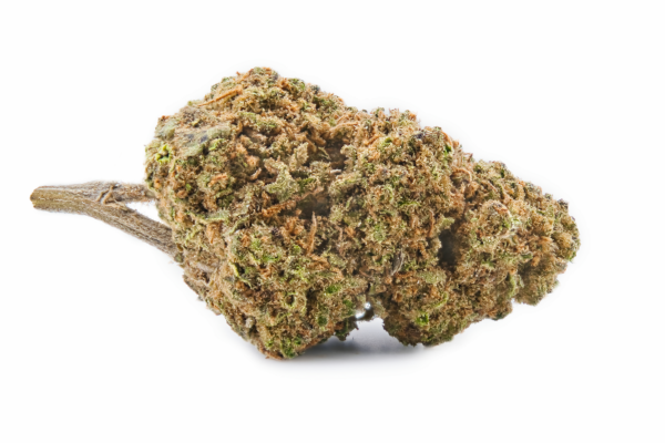 Fleur de CBD PLUTONIUM – têtes de calibre moyen à grand.