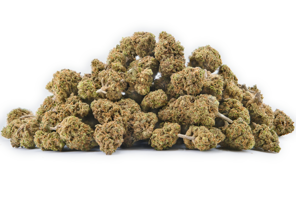 Fleurs CBD Plutonium greenhouse – buds denses et bien manucurés sur fond blanc