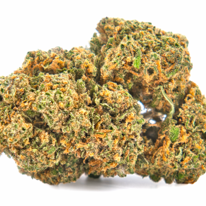 Fleur CBD Amnesia Haze outdoor – gros plan sur bud citronné