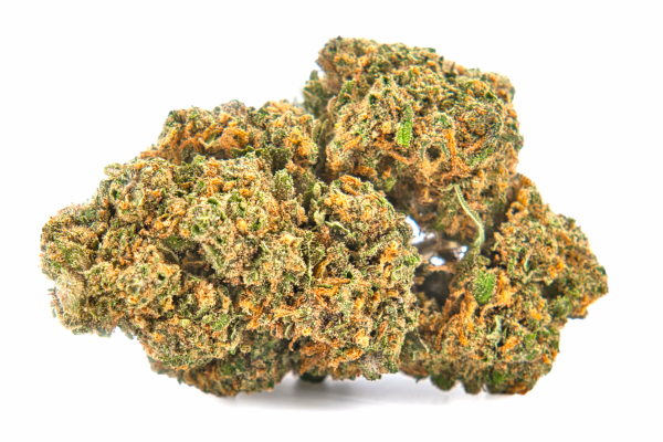 Fleur CBD Amnesia Haze outdoor – gros plan sur bud citronné
