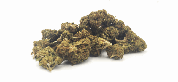 Petits buds de CHEESY FRUIT CBD groupés sur fond blanc
