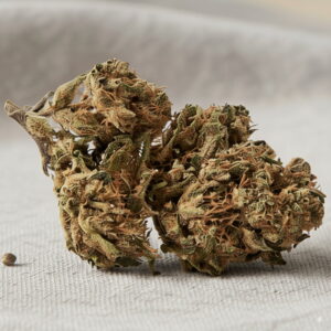 🦍 GORILLA GLUE 🦍