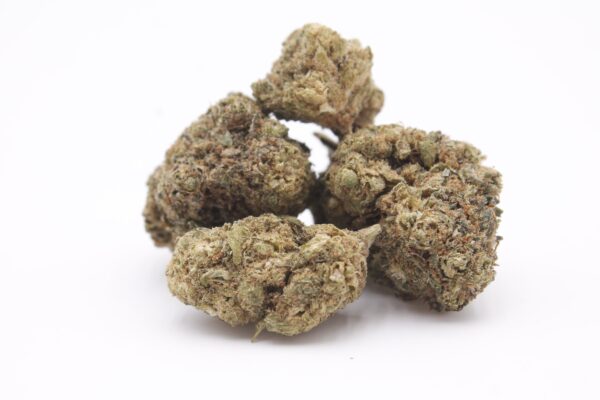 Petit tas de quatre à cinq têtes de fleur de CBD Runtz Indoor sur un fond blanc uni.