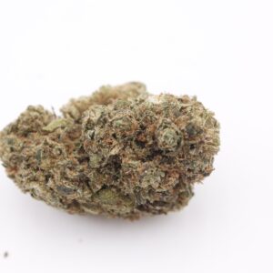 Gros plan détaillé sur une seule tête de fleur de CBD Runtz Indoor sur fond blanc.