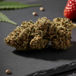 🍓 WILD STRAWBERRY 🍓